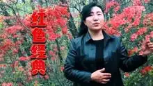 实力翻唱经典电影闪闪的红星插曲映山红重温红色年代
