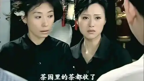 悠悠寸草心冬生走了留下孤儿寡母,还有一屁股债,金凤快崩溃了