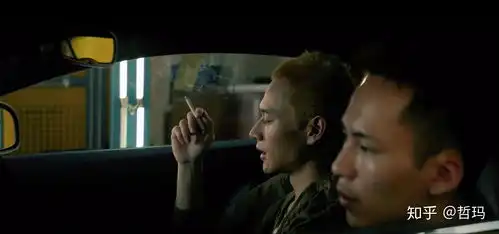 如何评价电影阳光普照
