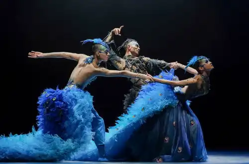 开启孔雀的奇幻之旅,杨丽萍携舞剧作品孔雀将到羊城

