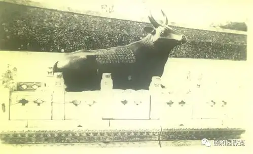 颐和网课颐和园建筑图解二园墙