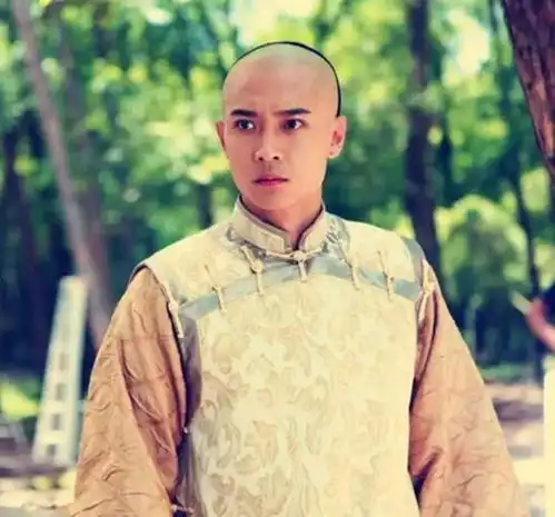 此皇子出身仅次于胤礽,又坚决反对雍正,为何受打压反而最轻