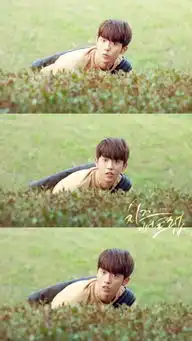 奶酪陷阱南柱赫权恩泽