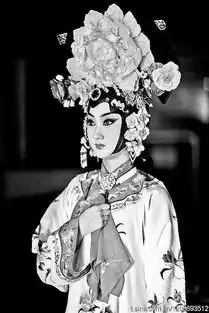 中山音乐堂2017新春演出季京剧打响头炮
