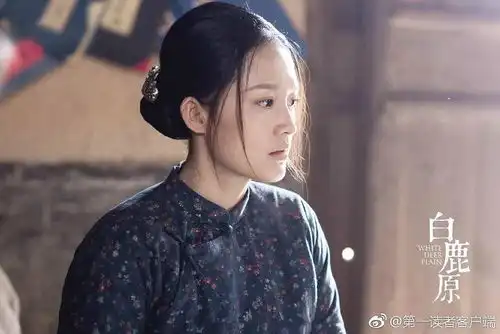 李沁的脸是方脸吗下颌角线条明朗但是感觉很协调啊