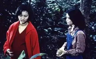 张艾嘉主演并监制了杨德昌的导演处女作,而她在自己处女作发布会上喝醉了
