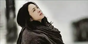 李少红选周迅陈红刘涛当女主,其实都一个原因
