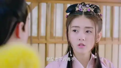 双世宠妃一个八王府就这么多的勾心斗角,皇宫什么的更是不敢想