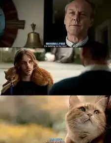 流浪猫鲍勃史上最萌喵星人,看完这部电影瞬间被治愈...