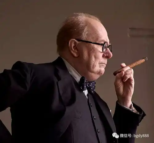 恭喜,邪魅狂狷演技派终于有传人了
