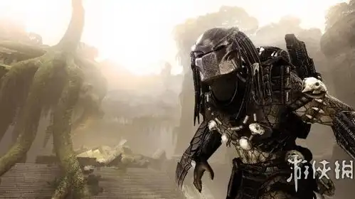 异形大战铁血战士aliensvspredator