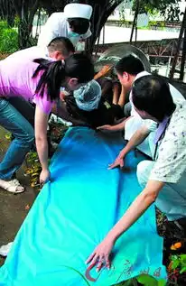 老妇蜗居水管网友微博求助民政局长
