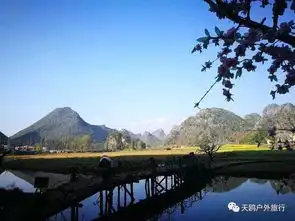 跟着三生三世十里桃花剧组,看尽云南普者黑的绝色山水
