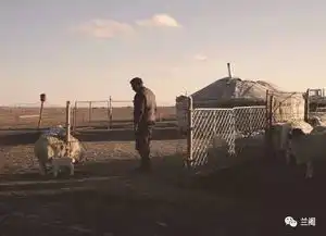 人物李伟他用六年时间,去草原拍了一部纪录片