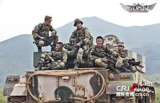 战狼影评爱国的本性流露