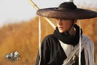 为什么说周迅像精灵一般美看看徐克这部龙门飞甲就知道答案
