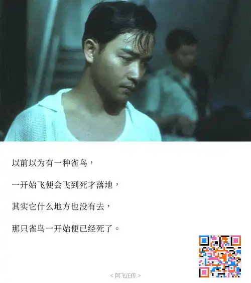 王家卫电影阿飞正传经典台词截图电影九句
