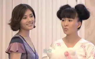 韩剧翻拍经典之作之回家的诱惑

