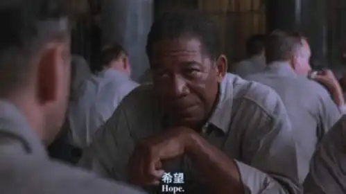 职业规划躲不开灵魂四问试错要趁早
