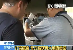 北京名牌大学生回乡创业竟成绝命毒师,制毒600余公斤藏灯管
