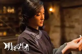 明月几时有是苏轼的大ip错了分明是许鞍华刀丛中的诗