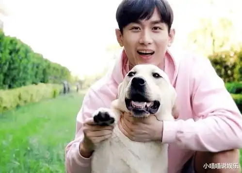 看到他被全网骂之后,本着吃瓜负责的心和好奇,去一探究竟