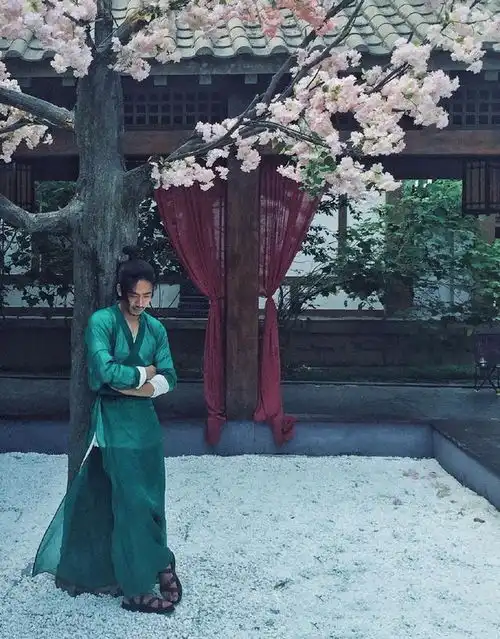 绿王江奇霖才是太子妃升职记中的颜值担当
