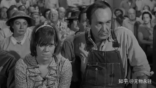 杀死一只知更鸟在真相面前沦为沉默的羔羊,我们终会为正义失声