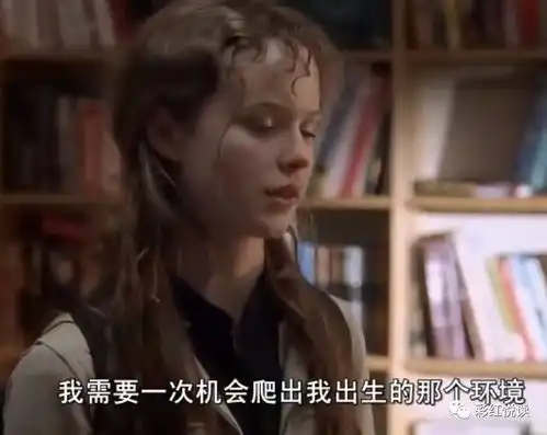 风雨哈佛路父母吸毒无家可归的丽丝,凭什么考上哈佛