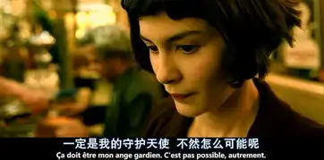 天使爱美丽法式人文主义关怀
