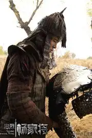 杨家将曝删减片段剧照
