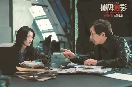 捕风追影老派功夫片还奏效吗