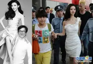 扒娱乐圈谜案陈坤的孩子妈钟汉良的老婆刘德华的娃4
