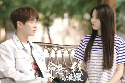 每日视听浙江卫视大片沟通会发布剧综资源,zao致歉