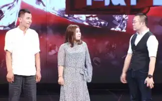 幸福来敲门独臂母亲为爱演讲
