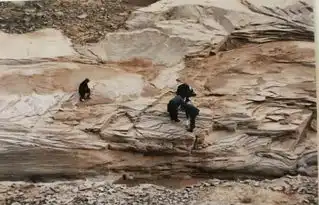 路遥诞辰70周年,寻找一个真实的路遥