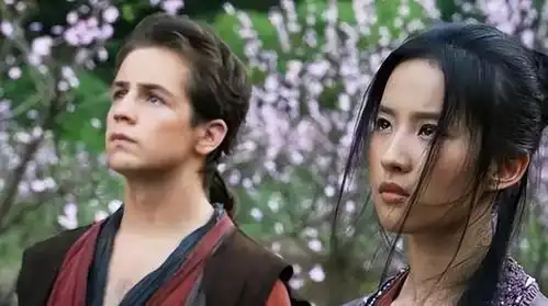 功夫之王中国武侠与西方文化碰撞,探寻绿野仙踪的魅力