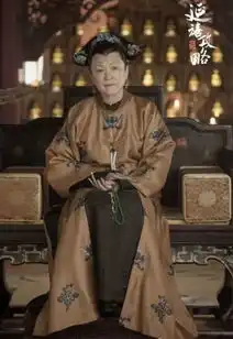 纪录片王会悟幕后花絮2配音延禧攻略里的太后献声王会悟
