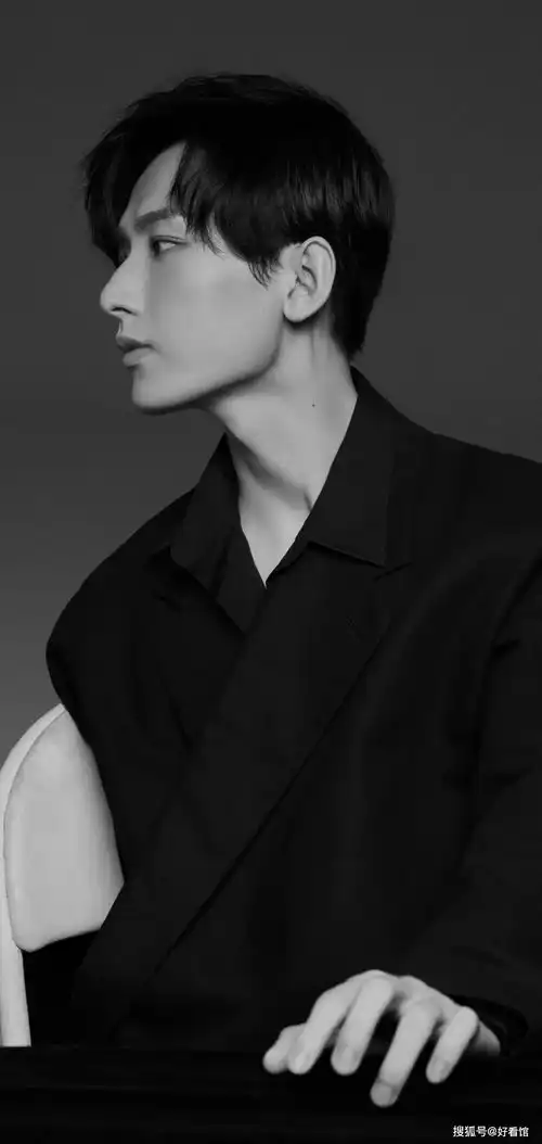 成毅壁纸大全禹司凤壁纸萧承煦好看的成毅图片林惊羽壁纸
