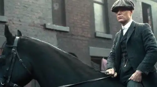 豆瓣9.7,史上最帅的黑帮老大
