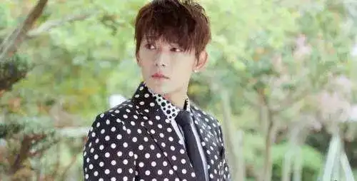 吴磊杨洋白敬亭这部剧仿佛让我掉进了奶狗窝