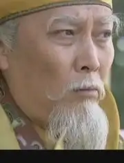 大唐歌飞古装历史剧贾乃亮唐国强