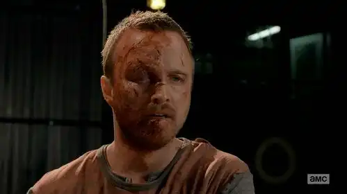 绝命毒师第五季
