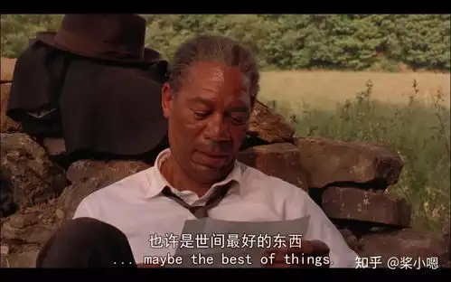 肖申克的救赎宁可忙着活,也绝不忙着死
