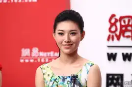 花木兰传奇主演做客网易