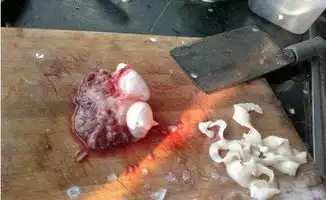 他从水产市场买回一条活鱼,剖开后吓呆了