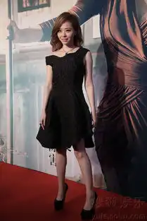 恋情还要掩下去吗范冰冰新片首映李晨捧场