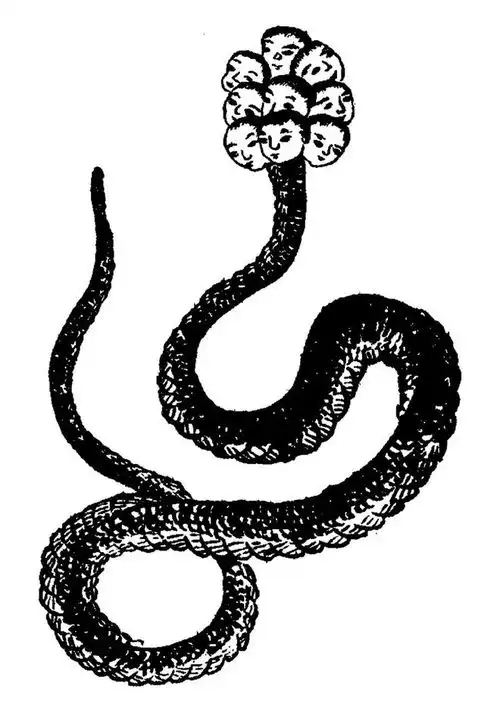 二十年了,为什么它值得一读再读