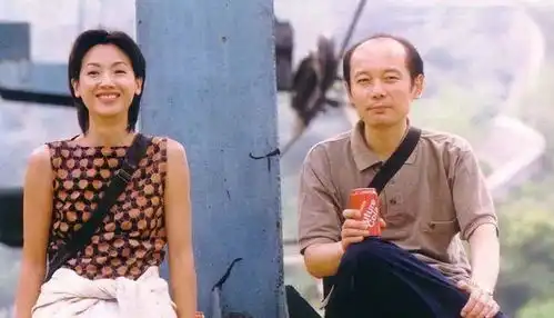 王中磊再次接管华谊电影从走散回归兄弟的绝地反击
