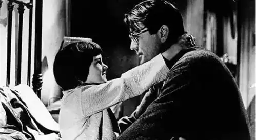 为什么杀死一只知更鸟是一桩罪恶
